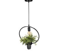 Suspension - Edo Solutions - MEA ronde - Noir - Acier - E27 - IP20