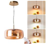 Suspension LED Ø38 cm 25W avec Télécommande - Verre Fumé Gris et Anneau Métallique - 2700K-6500K