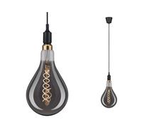 Paulmann Neordic lampe suspendue 1x60 W noir PL50381