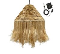 Suspension solaire LEONORA SOLAR en jacinthe d'eau avec câble hybride secteur et solaire 5m de longueur