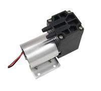 SW524-2OA-2900 petite pompe à eau électrique portable(24V)