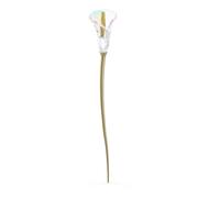 Swarovski Complemento Calla Lily Doré 25cm