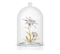 Florere 130e Anniversaire Cloche de Verre OS