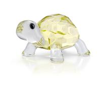 Idyllia Bébé Tortue OS