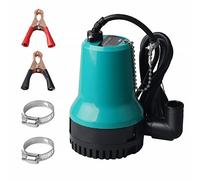 SWAWIS Pompe à Eau Vide Cave DC 12V 50W 4200L/H Immergée Puit | Modèle submersible pour puit, piscine et étang, avec câble de 2,3M et pince, vidange rapide et fiable