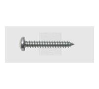 SWG Lot de 100 vis taraudeuses cruciformes Phillips DIN 7981 3,9 mm 19 mm Acier galvanisé