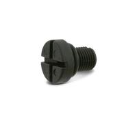 SWGAutomotive 24401017580 Vis de purge d'air / - soupape, radiateur
