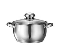 Swisgold Marmite Inox 16cm avec Couvercle et Fond Capsule 5 Couches Argent