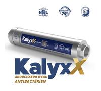 Sapho Swiss Aqua - Adoucisseur d'eau IPS Kalyxx BlueLine G 1/2, inox IPSKXG12