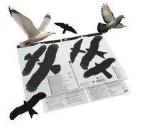 SWISSINNO SWISSINNO Solution d’ouverture de fenêtre anti-oiseaux, 5 pièces Quantité:1