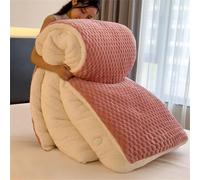SXZAGZR Couette, Cachemire d'agneau éPais, Épaisse Et Chaude Cachemire Édredon, éPaissir Consolateur Couverture d'hiver en Cachemire d'agneau éPaissi Chaude Et LéGèRe (Rose,110x150cm1.5kg)