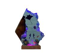 Syagot Lampe océanique en résine époxy, veilleuse LED raie manta et plongeurs, lampe de table pour décoration intérieure, souvenir d'aventure sous-marine de plongeur (Coloré,12×8 pouce)