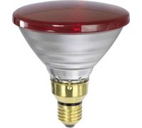 Sygonix Ampoule infrarouge E27 150 W (Ø x L) 120 mm x 134 mm 230 V 1 pc(s)
