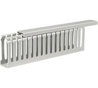 Sygonix SY-5045588 Goulotte de câblage (L x l x H) 2000 x 25 x 65 mm 1 pc(s) gris