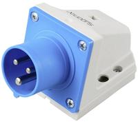 Sygonix SY-6261866 Prise murale mâle CEE-CARA 16 A 3 pôles 250 V/AC 1 pc(s)
