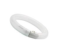 Sylvania circulaire 32 W 12 "Blanc froid 840