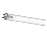 Sylvania Germicidal Ampoule fluorescente T5 G8 W Culot G5 288 mm de long Diamètre 15 mm 145 mA