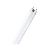 Sylvania Neon T8 Grolux 18w / 60cm (Unité)