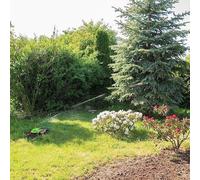 Système d'arrosage rotatif pour jardin, de la marque Famanu, avec zone de pulvérisation réglable