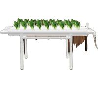 Système de culture hydroponique, tuyaux en PVC-U, 36 emplacements pour plantes, 1 niveau, diamètre des tuyaux : 6,3 cm, conception de jardin vertical