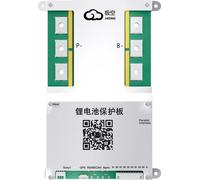 Système de gestion de la batterie, équilibre actif, connectivité intelligente, B2A8S30P