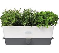 Système de jardinière à arrosage automatique pour herbes aromatiques, en acier inoxydable blanc-gris, modèle triple