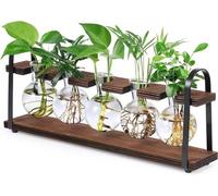 Système d'hydroponie d'intérieur pour la multiplication des plantes - Standard en bois - Terrarium rétro - Accessoires pour plantes d'intérieur - Plateau de table - Bac à plantes en verre