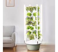 Système hydroponique de jardin de tour, planteur intelligent intérieur à 7 couches avec lampes à LED, kit de jardinage vertical sans sol pour les verts herbs Leafy et les paillettes, cultivateur de pl