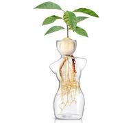 Syzplnwy Vase avocat : verre borosilicate pour germination des graines et culture hydroponique, sans danger pour l'eau salée avec bords polis, décoration compacte pour maison/bureau (normal)
