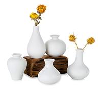 Sziqiqi Petits Vases en Céramique Blanche Lot de 5, Mini Vases Décoratifs pour Fleurs Moderne Centre de Table Vase décoration pour Maison Salon Fête Bureau