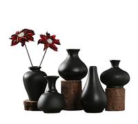 Sziqiqi Petits Vases en Céramique Noire Lot de 5, Mini Vases Décoratifs pour Fleurs Moderne Centre de Table Vase décoration pour Maison Salon Fête Bureau
