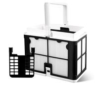 T/F 9991460-R1 Panier filtrant ultra-fin robot nettoyeur de piscine pour Dolphin S50 S100 Active 10 & 15 Echo T15 T25 Proteus DX3 Saturn Cayman Escape Nautilus CC Encore E10 Explorer E20 Solo Advanta