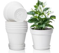 T4U 16cm pot de fleurs en plastique avec soucoupe set de 6 pièces blanc pour succulentes cactus