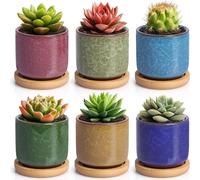 T4U 6.3cm Pots de succulentes en céramique 6 couleurs Set avec soucoupes