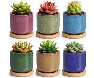 T4U 6.3cm Pots de succulentes en céramique 6 couleurs Set avec soucoupes