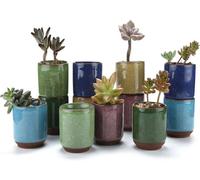 T4U 6.5CM Pots de Succulent en Céramique Crépiter Série Plante Succulente Cactus Pot de Fleur Jardinière Cultive 1 Paquet de 12