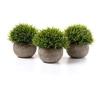 T4U Petites Plantes Artificielles d’Intérieur Vertes en Pot Lot de 3 | Décoration pour bureau et salon, Sans entretien, Pour chambre et étagère, Aspect naturel