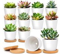 T4U Pot de Fleur Interieur Blanc Rond avec Soucoupe, Cache Pot ceramique pour Cactus, Lot de 12, pour Usage dédié aux Amateurs de Plantes, décoration Bureau, étagère et Rebord de fenêtre