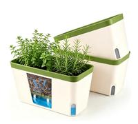 T4U Pots Auto-arrosants rectangulaires 27 cm, Vert, lot 3, Pot de Fleur Interieur, Plantes Petites, idéals pour débutants, Non Compatible végétaux Grands sensibles humidité