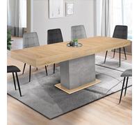 IDMarket Table à manger extensible EDEN Bois et effet béton 6-10 personnes 160-200 cm Multicolore