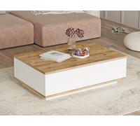 Table basse avec 2 portes - Naturel et Blanc - LOTULA