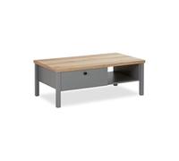Table Basse de Bois 110x60 cm grise