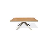 Table de jardin en alu plateau polywood aspect bois
