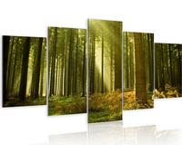 Tableau acoustique Nature 200 x 100 cm Tableaux Mousse acoustique Absorbeur acoustique haute performance Isolation acoustique Toile 5 pièces Tableau mural Acoustique intérieure Isolation acoustique 03