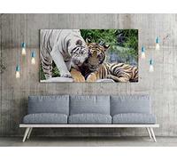 Tableau en PVC Impression numérique tigre blanc et jaune 100x100cm | Plusieurs Mesures