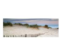 Tableau Mural Dune Et Chemin CEANOTHE - 45x135 cm - Plage