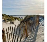 Tableau mural dune Mers les Bains CEANOTHE - 30x30 cm - Plage