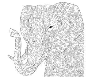 Tableau Mural Éléphant À Colorier CEANOTHE - 30x30 cm - Illustration