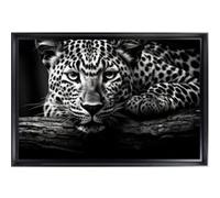 Tableau mural encadré CEANOTHE portrait léopard intense 40x60 cm Noir & blanc Noir & blanc
