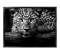 Tableau mural encadré CEANOTHE portrait léopard intense 60x80 cm Fibres de bois Noir & blanc